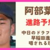 阿部葉太の進路予想！早稲田に進学と噂される理由も調査！