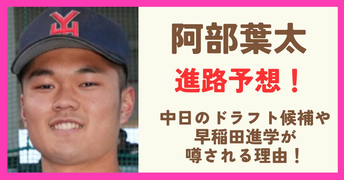 阿部葉太の進路予想！早稲田に進学と噂される理由も調査！