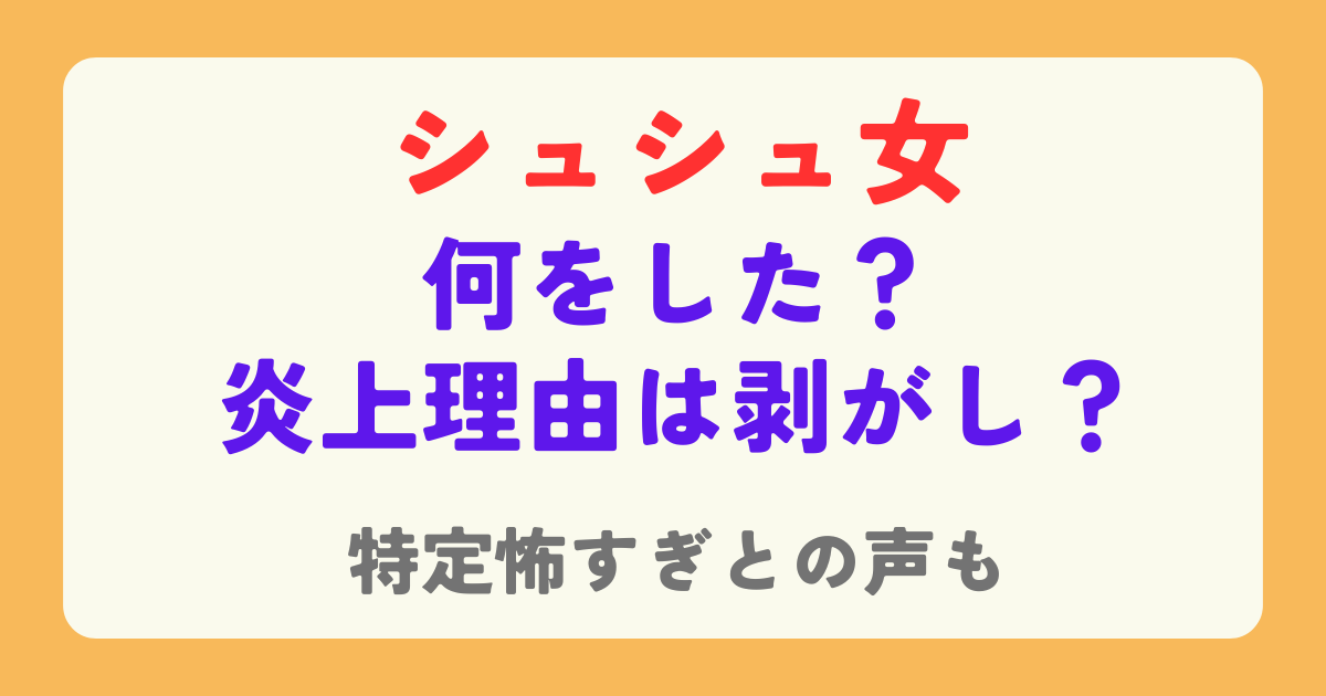 シュシュ女の炎上理由は剥がし？何をしたのか徹底調査！特定怖すぎとの声も