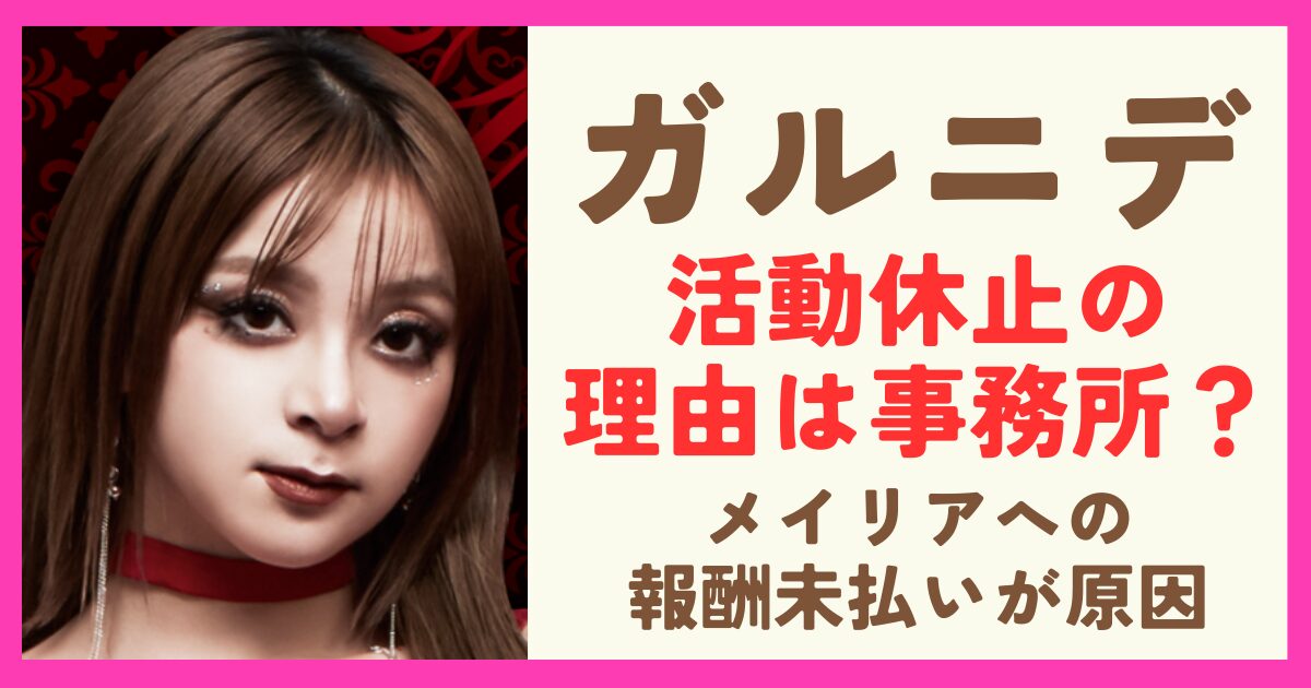 ガルニデに何があった？活動休止の理由は事務所のメイリアへ報酬未払い！